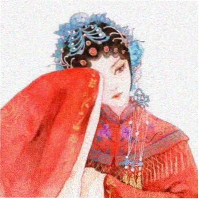 读者苏明禾的头像